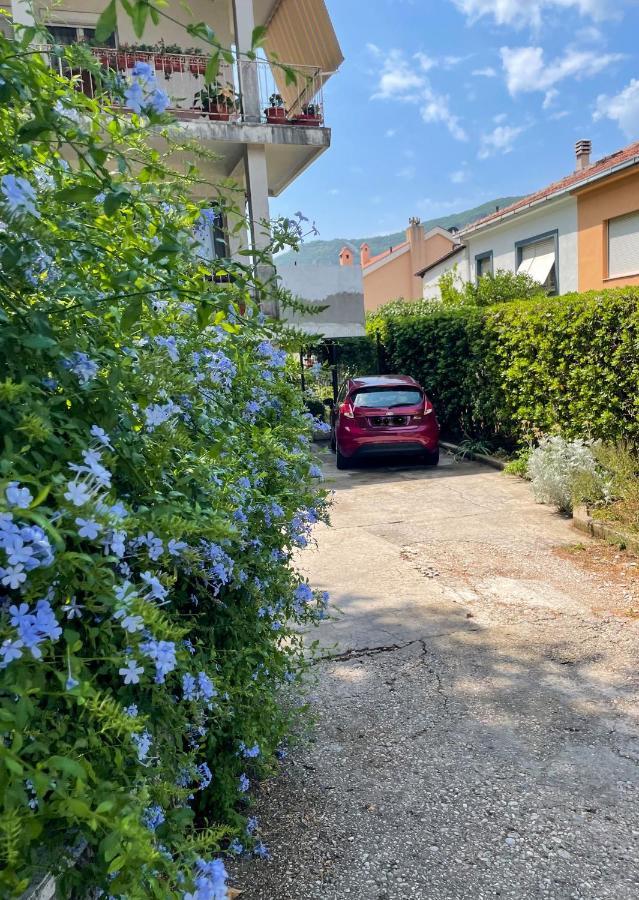 Apartment Garden Kotor Buitenkant foto
