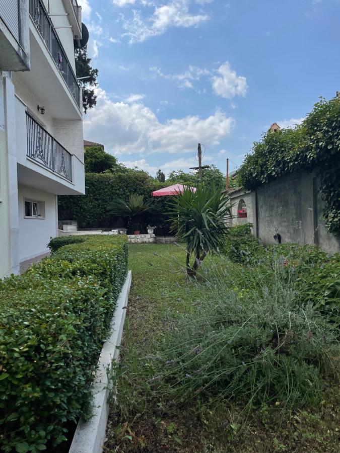 Apartment Garden Kotor Buitenkant foto