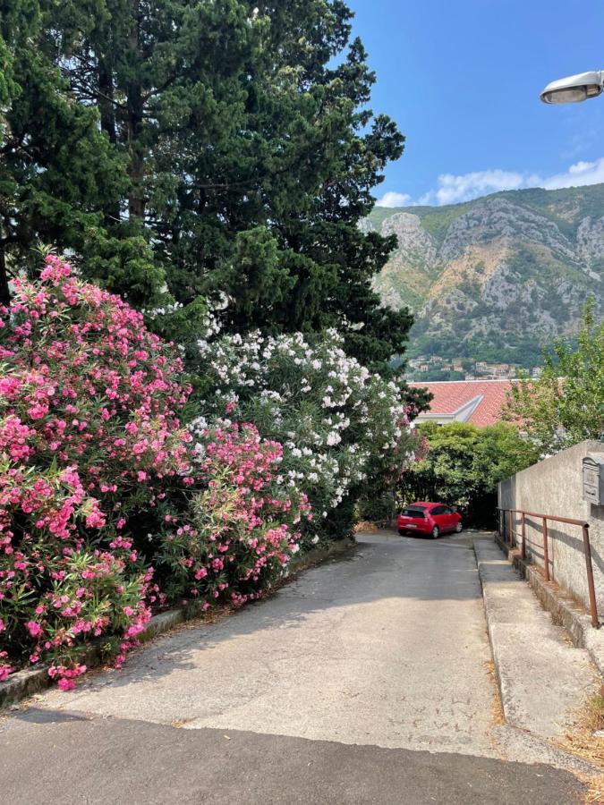 Apartment Garden Kotor Buitenkant foto