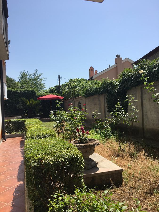 Apartment Garden Kotor Buitenkant foto